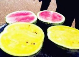 娱乐区吃大瓜,明星隐私曝光，精彩瞬间回顾