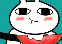 微信的吃瓜表情怎么没了,揭秘微信表情库的神秘变动